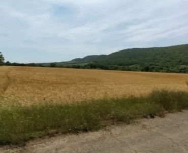 19021 Sqm Investment Land Near Sunny Beach Bulgaria