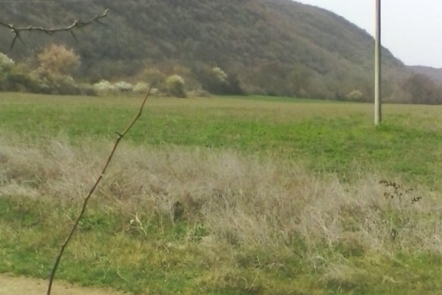 fbcea7af-642e-471a-bc34-b262e9541069-1_all_634